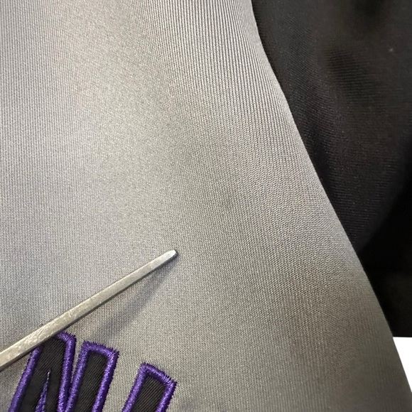 WWE Authentic Wrestlemania 34 Youth New Orleans Baseball Jersey Sz Medium - Picture 9 of 9